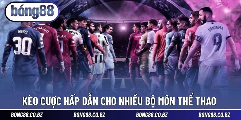 Kèo cược hấp dẫn cho nhiều bộ môn thể thao 