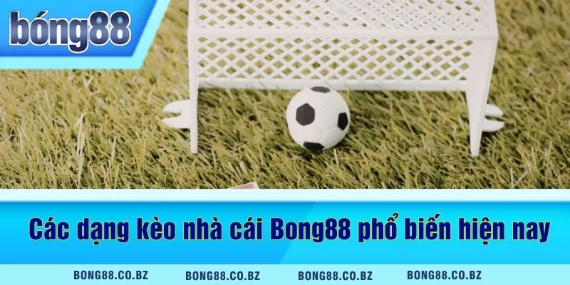 Các dạng kèo nhà cái Bong88 phổ biến hiện nay